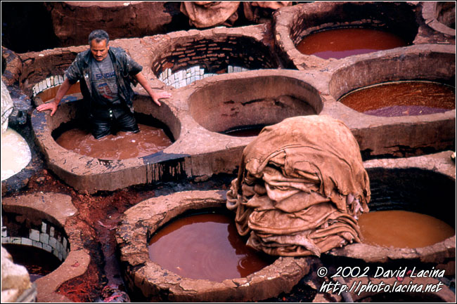 tannery, fès - Best Of Marocco, Marocco