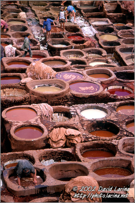 tannery, fès - Best Of Marocco, Marocco