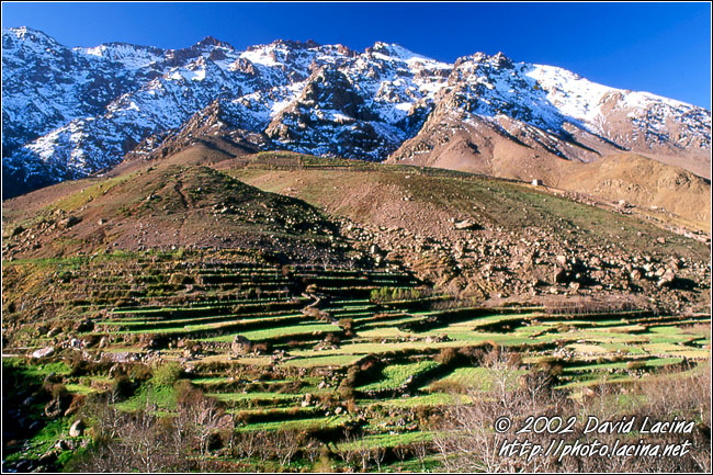 terraces near Ouanerska - Best Of Marocco, Marocco