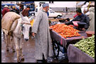 shopping in souq, meknes, Best Of Marocco, Marocco