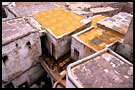 tannery, fès, Best Of Marocco, Marocco