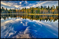 Norway - Autumn In Nordmarka