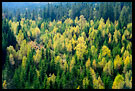 View from Skjennungstua towards Tryvann, Autumn in Nordmarka, Norway