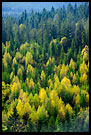 View from Skjennungstua towards Tryvann, Autumn in Nordmarka, Norway