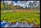 A Moor On The Way To Skjennungstua, Autumn in Nordmarka, Norway