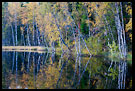 Autumn By Skomakertjern, Autumn in Nordmarka, Norway
