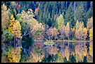 Fall Colors By Store Tryvannstua, Autumn in Nordmarka, Norway