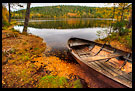 Fall By Kopperhaugtjernet, Autumn in Nordmarka, Norway