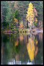 Fall By Kopperhaugtjernet, Autumn in Nordmarka, Norway