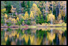 Fall By Kopperhaugtjernet, Autumn in Nordmarka, Norway