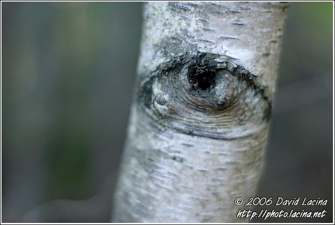 The God Sees You - Best of 2006, Norway