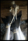 Salmon Fishing, Best of 2006, Norway