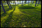 Medieval Burial-ground, Best of 2006, Norway