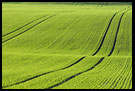 Fields, Best of 2006, Norway