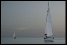 Sailboats In Sandefjord, Best of 2006, Norway