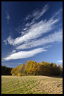 Autumn In Vestfold, Best of 2006, Norway