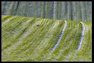 Fields And Snow, Best of 2006, Norway