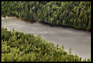 Trees And Lake, Best of 2006, Norway