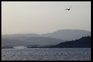 Lindholmen, Best of 2006, Norway
