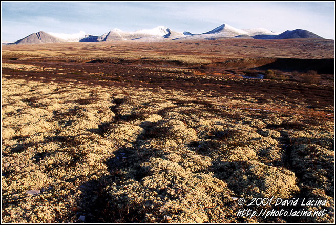 incredible colours of fall - Best of 2001, Norway