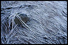 frozen abstraction, Best of 2001, Norway
