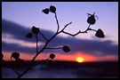 sunset with hips, Best of 2001, Norway