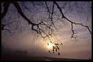 foggy day, Best of 2001, Norway