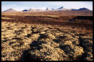 incredible colours of fall, Best of 2001, Norway