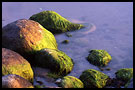 stones at østerøya, Best of 2002, Norway