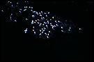 birds on the rock, Best of 2002, Norway