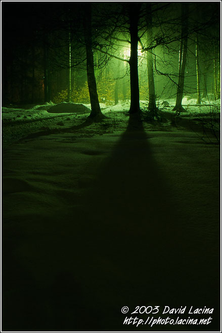 foggy night - Best of 2003, Norway