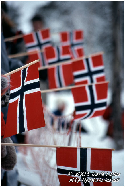 cross-country skiing fans - Best of 2003, Norway