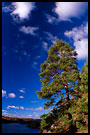 Pine By Goksjoa, Best of 2003, Norway