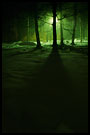 foggy night, Best of 2003, Norway