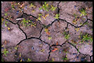 Soil Abstraction I., Best of 2003, Norway