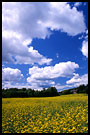 Field&Clouds I., Best of 2003, Norway
