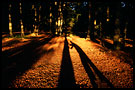 Work In Wood, Best of 2003, Norway