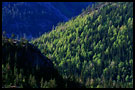 Colours Of Three, Best of 2003, Norway