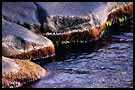 Coast Detail, Best of 2003, Norway