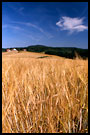 Farm Field II., Best of 2003, Norway