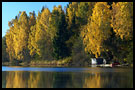 Peaceful Lågen, Best of 2004, Norway