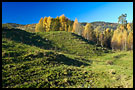Hills In Lågen Valley, Best of 2004, Norway