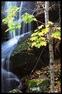 Tree By A Waterfall, Best of 2004, Norway