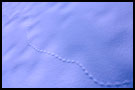 Small Steps Of Long Journey, Best of 2004, Norway