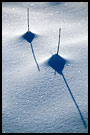Brothers, Best of 2004, Norway
