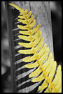A Ladder, Best of 2004, Norway