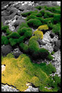 Green Oasis, Best of 2004, Norway
