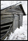 Freezing Cold, Best of 2005, Norway