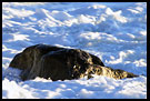 Stone In Clouds, Best of 2005, Norway