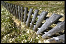 Spring Is Comming, Best of 2005, Norway